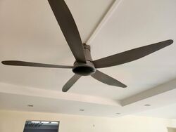 Blk 242 Pasir Ris Street 21 (Pasir Ris), HDB Executive #613587041
